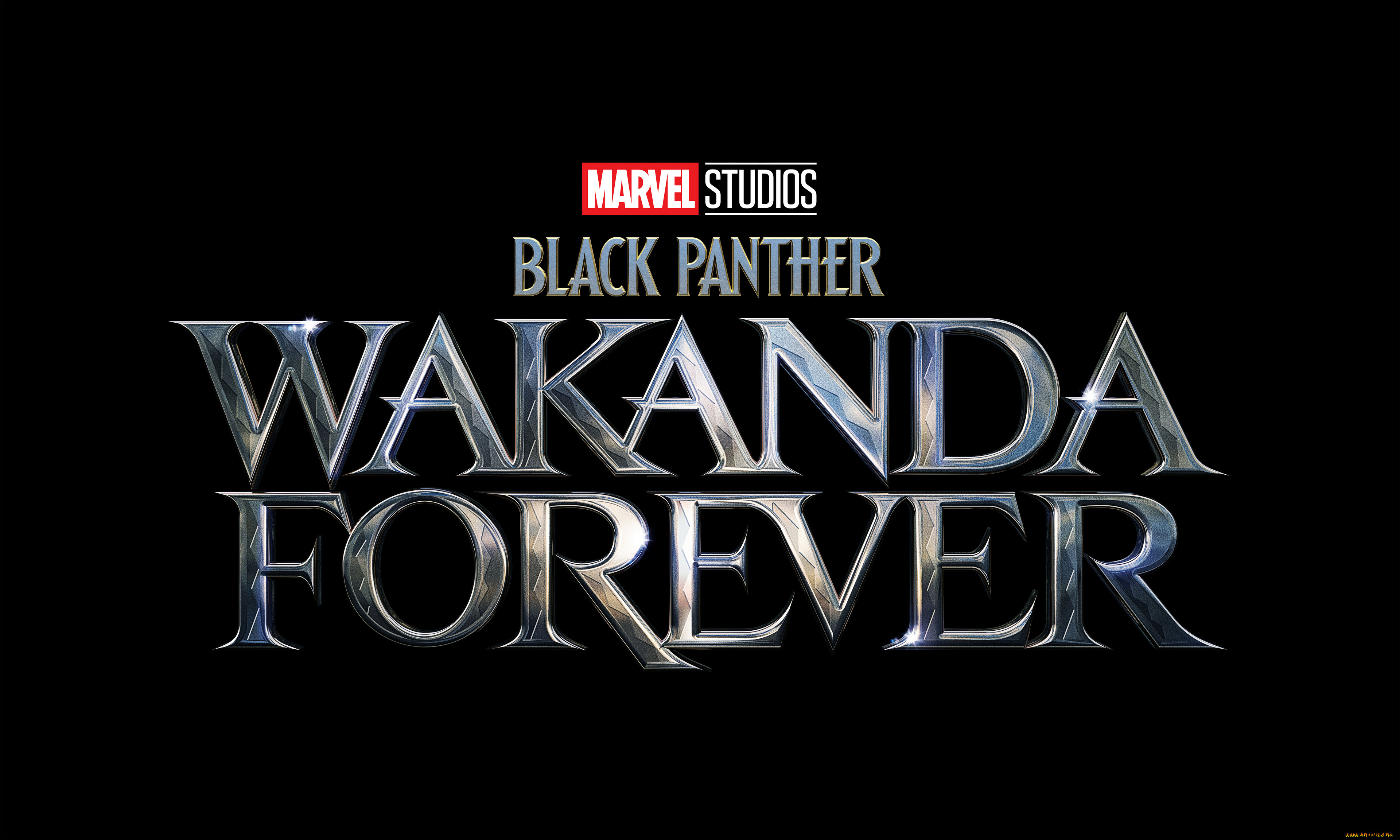 black panther,  wakanda forever || 2022,  ,  wakanda forever, , , , , , , , 
